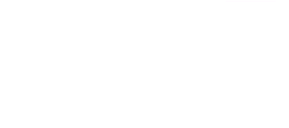 VNE